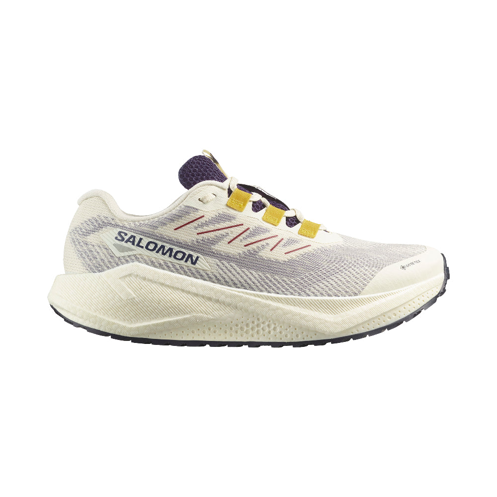 Salomon AERO BLAZE 3 GRVL GORE-TEX - Homme collection