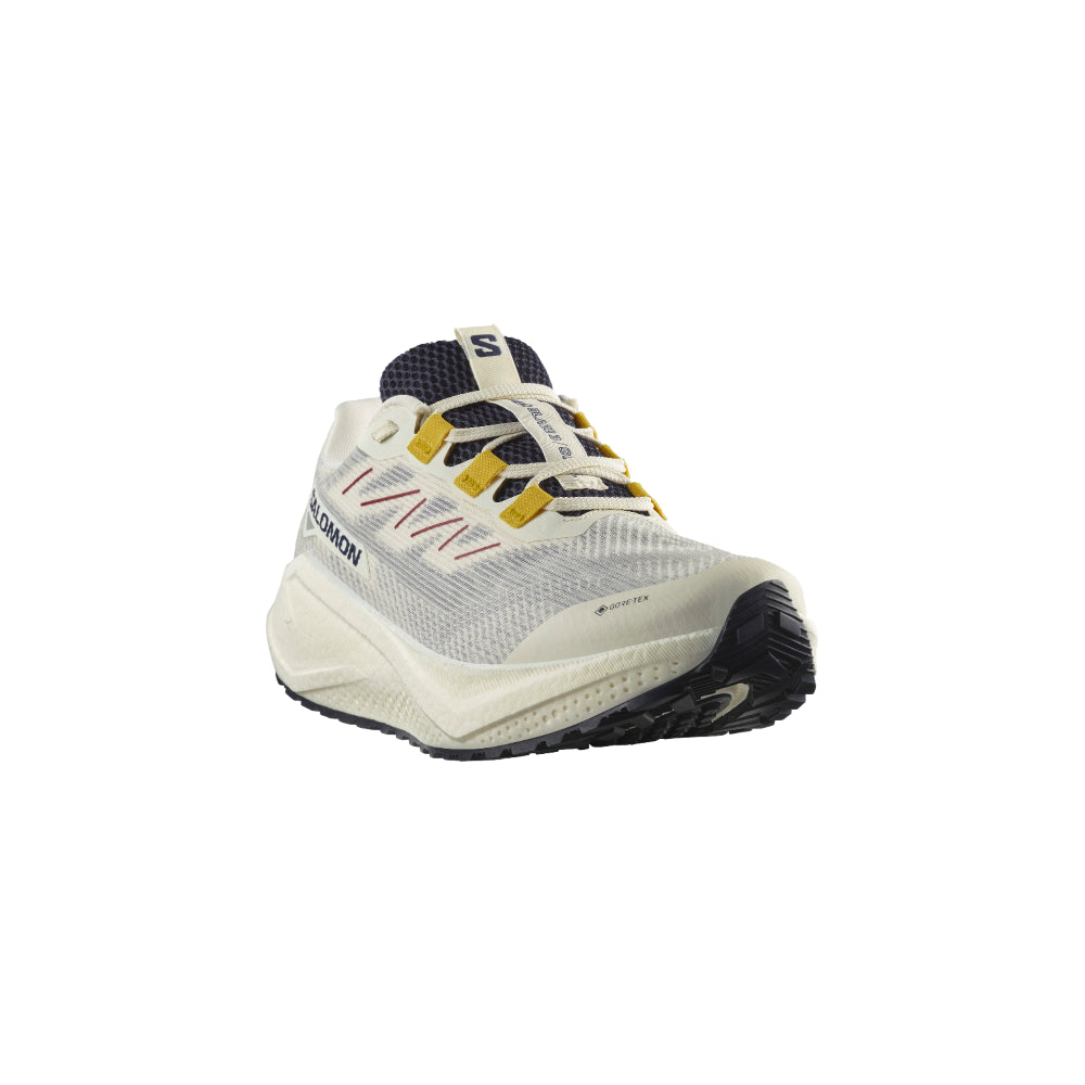 Salomon AERO BLAZE 3 GRVL GORE-TEX - Homme collection