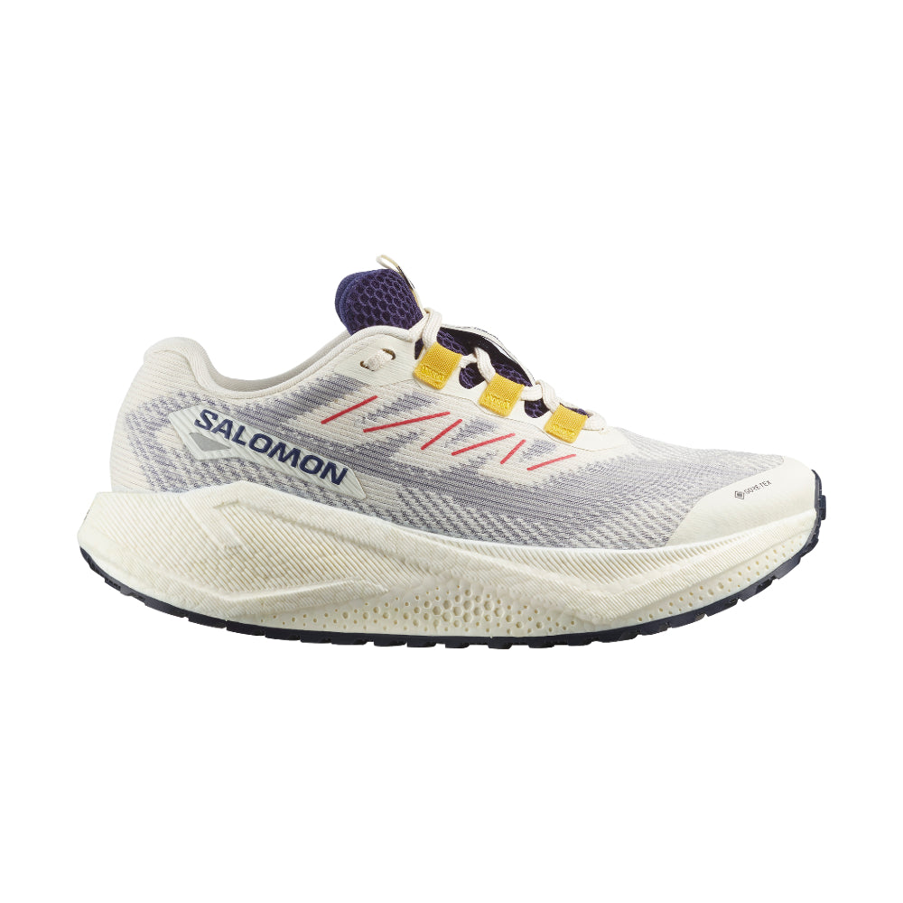 Salomon AERO BLAZE 3 GRVL GORE-TEX - Femme collection