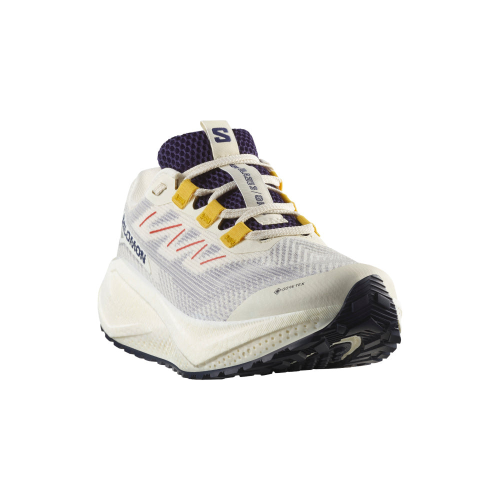 Salomon AERO BLAZE 3 GRVL GORE-TEX - Femme collection