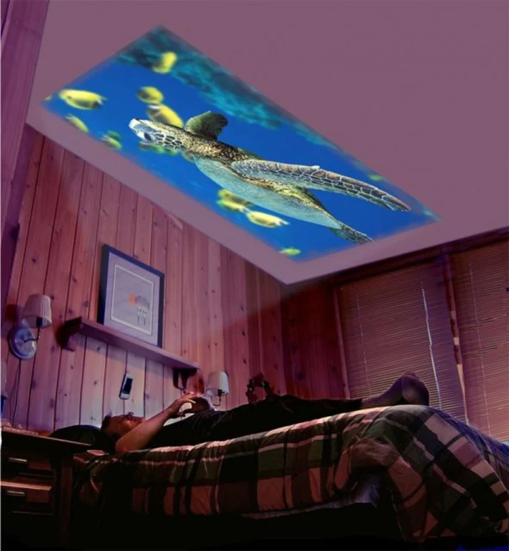 Mini Projecteur LED